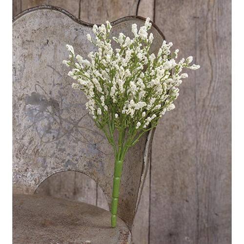 Left. BreeBe - Array Astilbe Bush Cream - Cream.