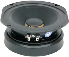 GENUINE B DIZAIRS