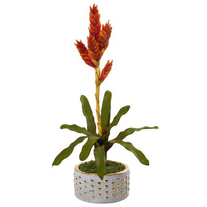 Front. BreeBe - 24" Tropical Bromeliad Plant in Bowl with Gold Trimming - Red,Green.