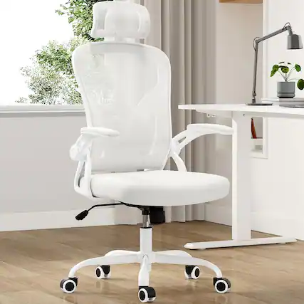 Front. Trinkets Crazed - Ergonomic Office Chair, Home Office Desk Chair with Headrest, High Back Computer Chair with Armrests - white.