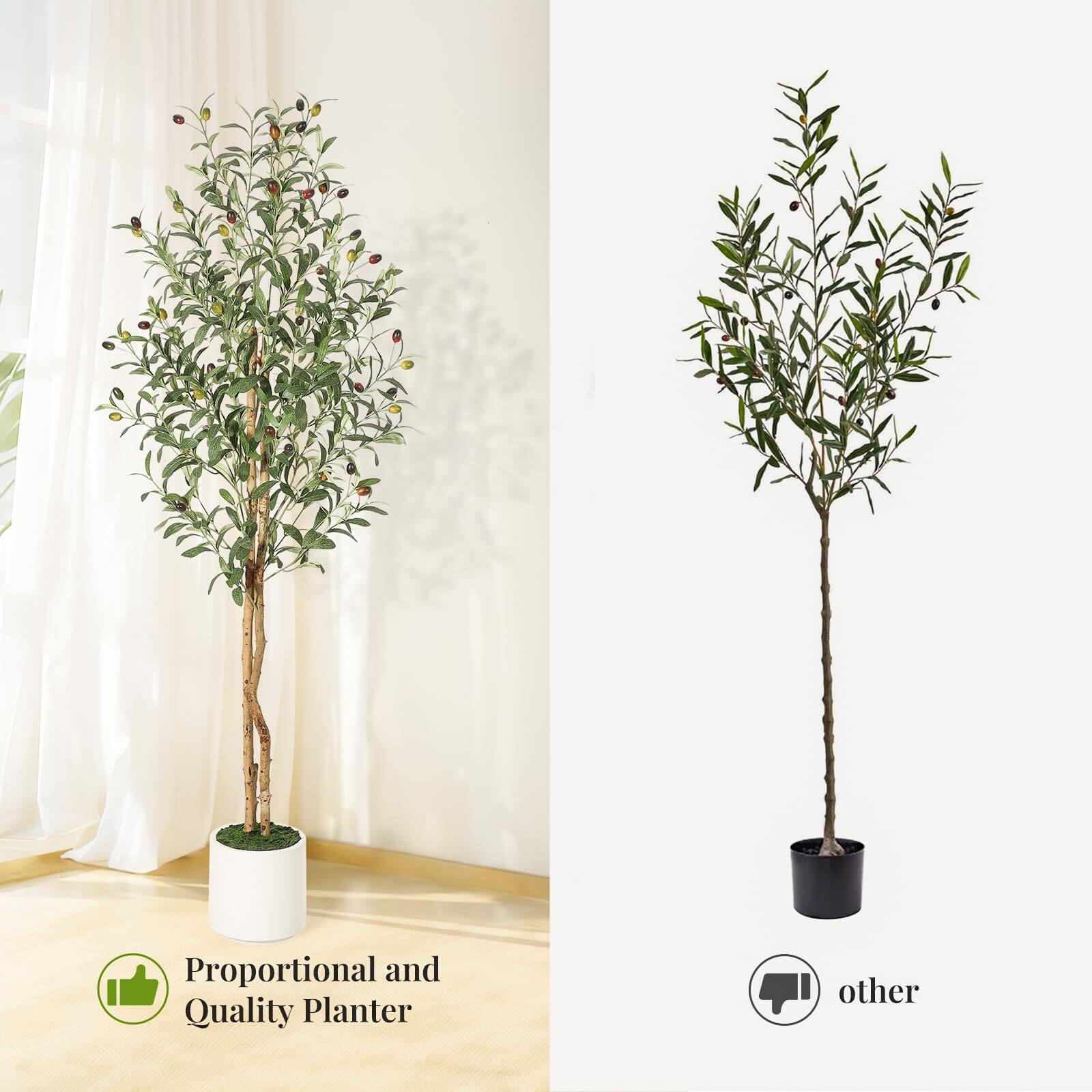 Proportional and Quality Planter  
other