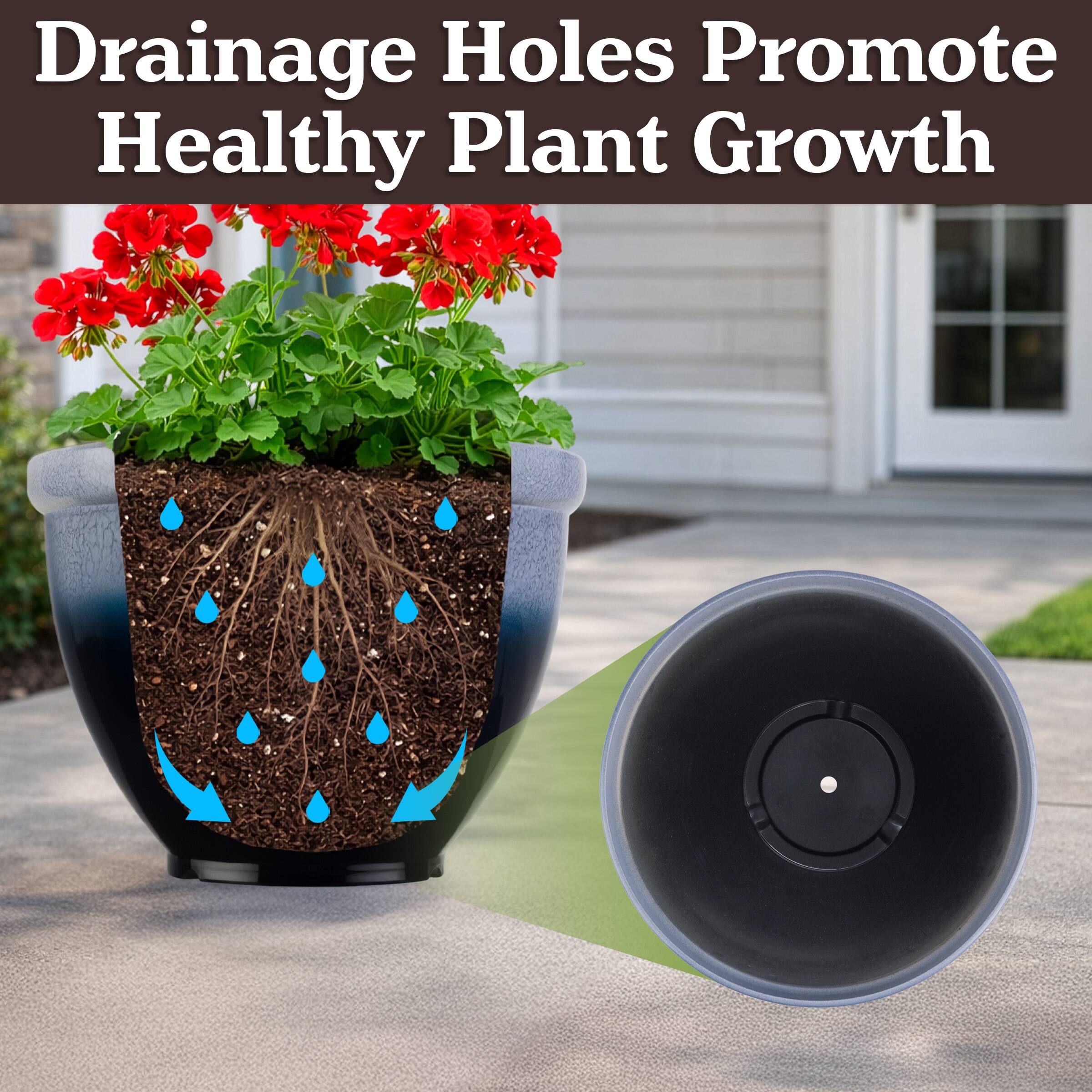 Drainage Holes Promote Healthy Plant Growth