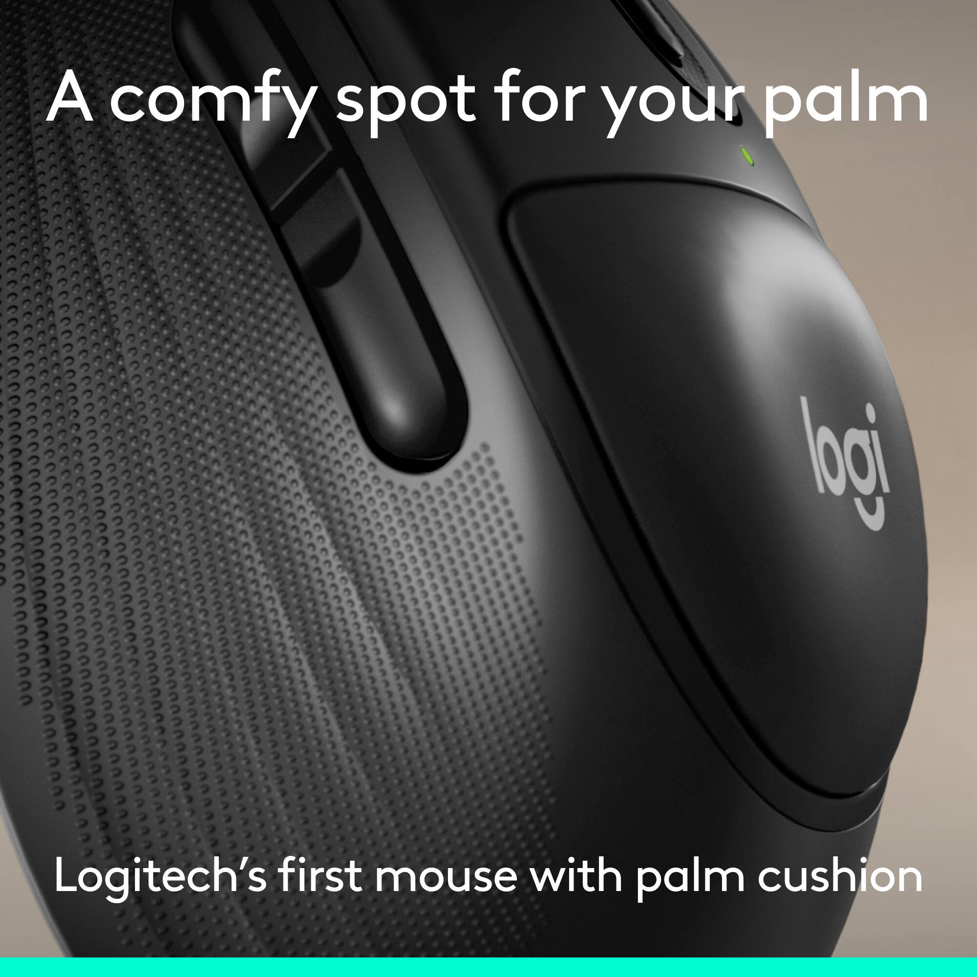A comfy spot for your palm

Logitech's first mouse with palm cushion