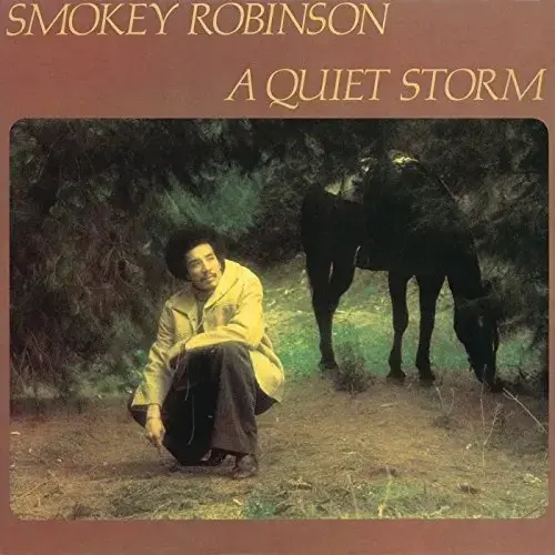 A Quiet Storm [LP] VINYL - Best Buy