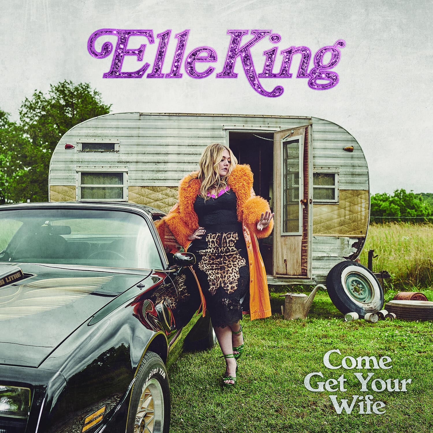 Elle King - Come Get Your Wife   - COMPACT DISCS [CD] price history on PriceWatchPro