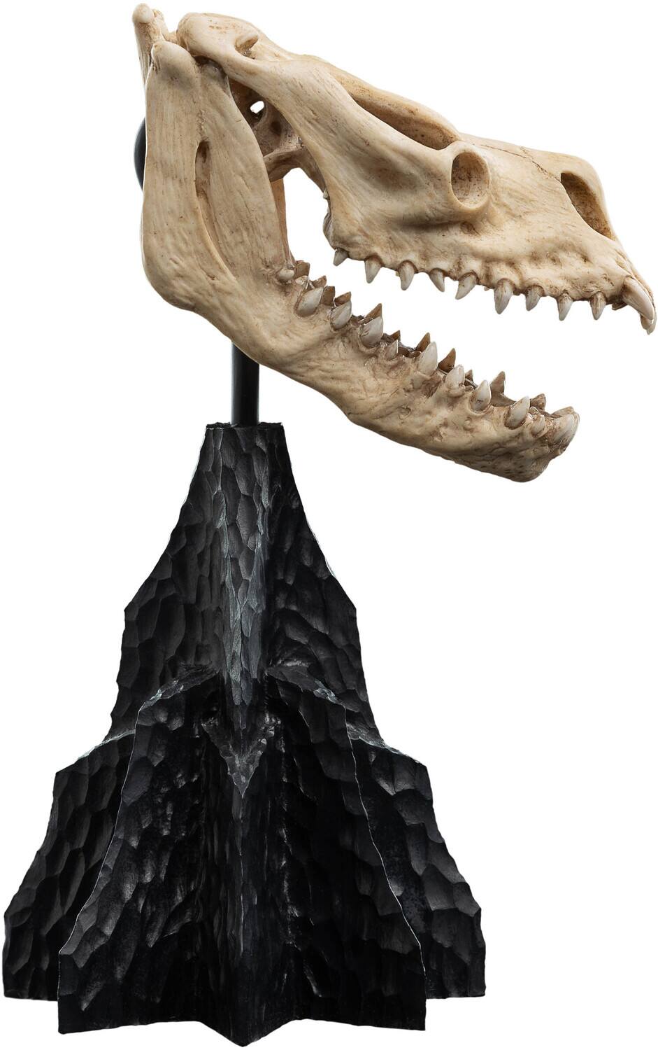 Alt View 3. Weta Workshop - WETA Workshop Polystone - The Lord of the Rings Trilogy - Skull of a Fell Beast Polystone Statue   - COLLECTIBLES - Multicolor.
