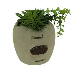Zeckos - Artificial Succulents in Rustic Apple Shaped Wood Planter - Gray