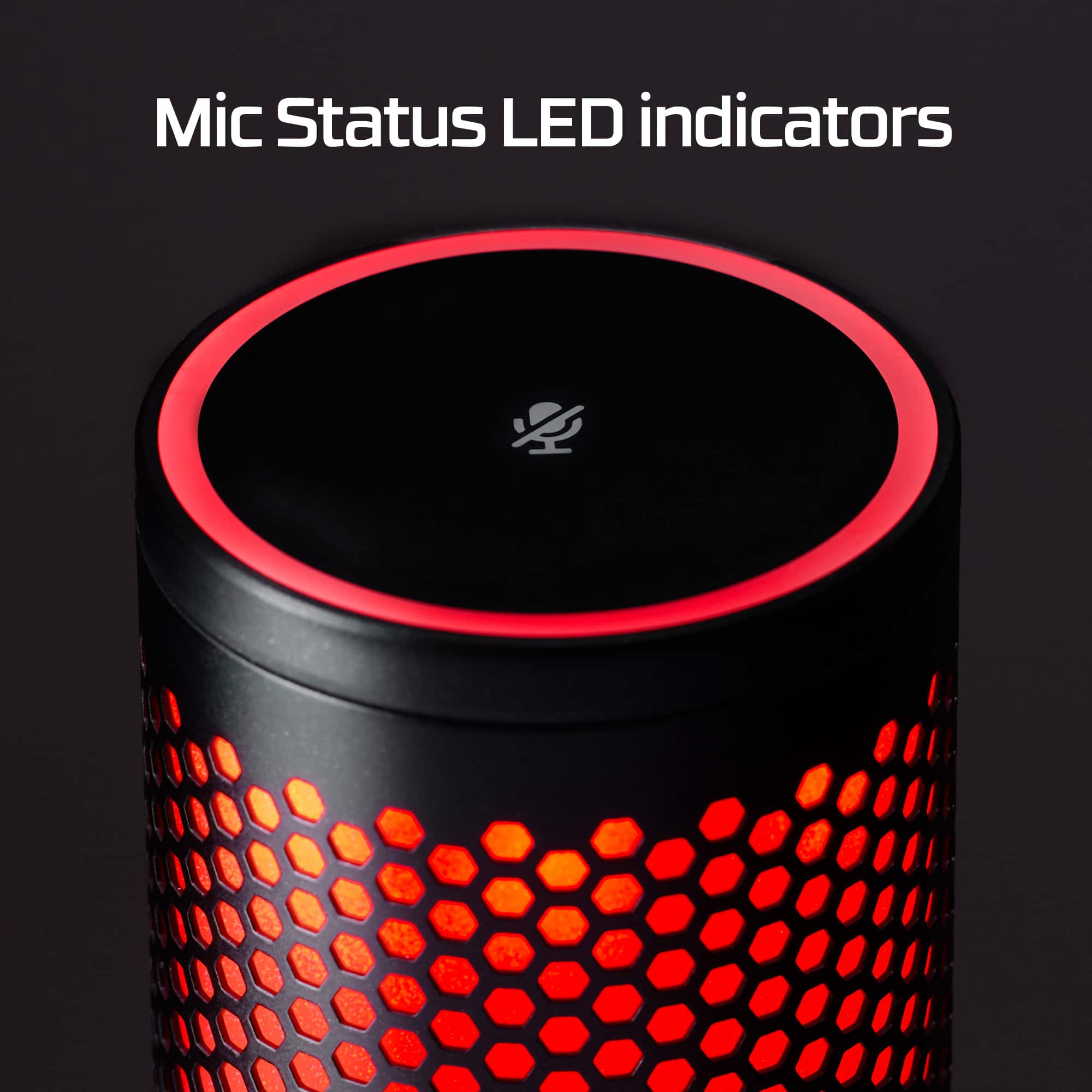 Mic Status LED indicators