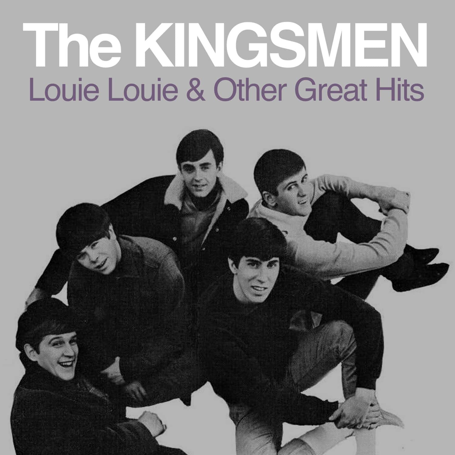 The Kingsmen - Louie Louie & Other Great Hits   - COMPACT DISCS [CD] price history on PriceWatchPro