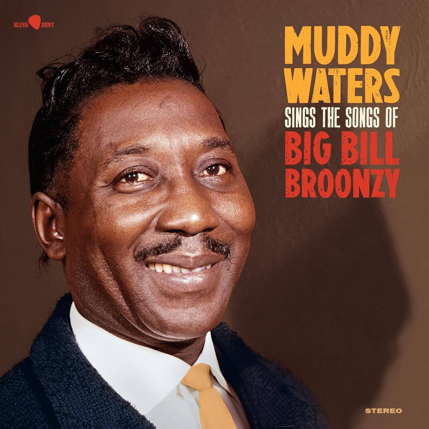 BLUES JOINT

MUDDY WATERS  
SINGS THE SONGS OF  
BIG BILL BROONZY

STEREO