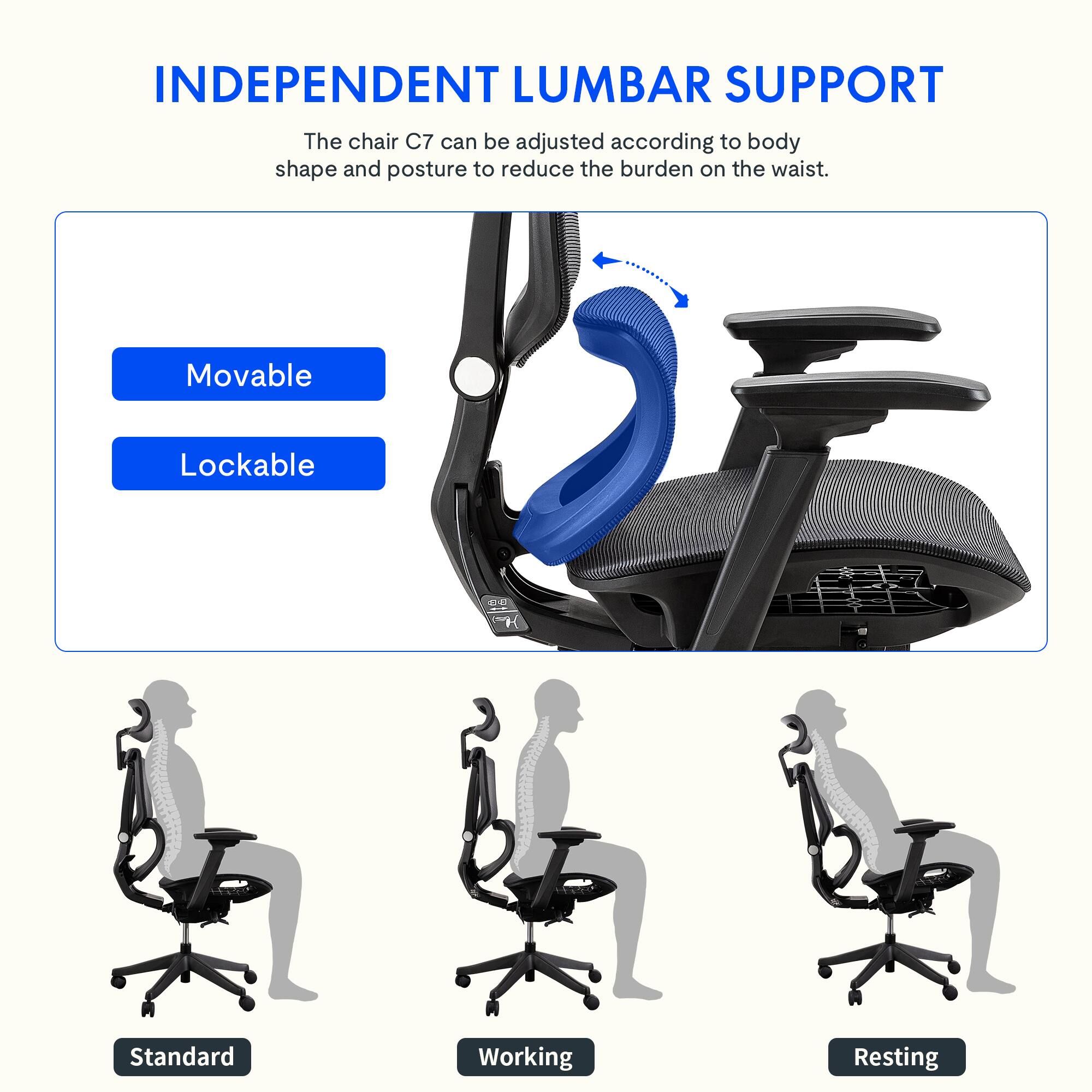INDEPENDENT LUMBAR SUPPORT

The chair C7 can be adjusted according to body shape and posture to reduce the burden on the waist.

- Movable
- Lockable

Standard
Working
Resting