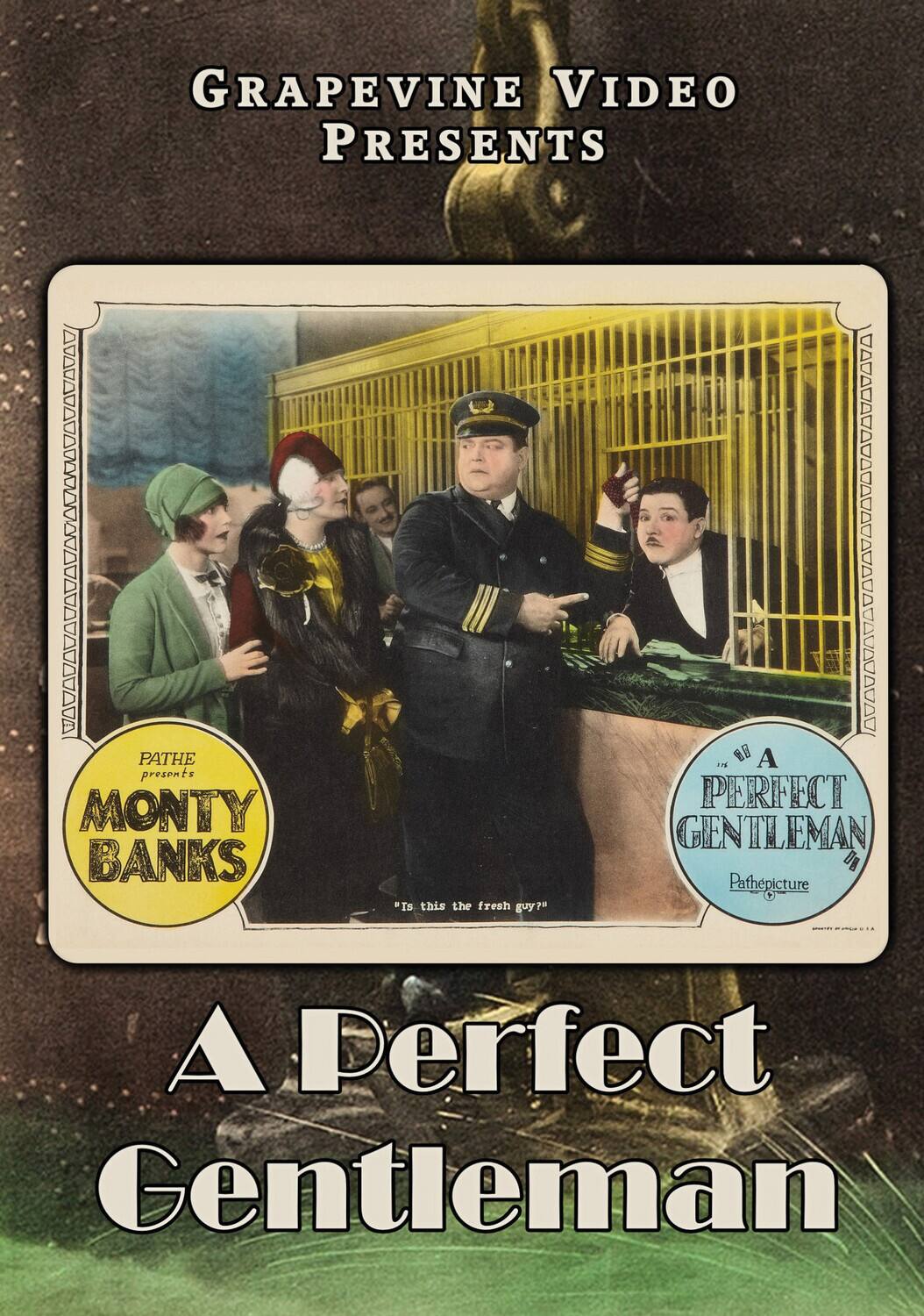 A Perfect Gentleman - DVD