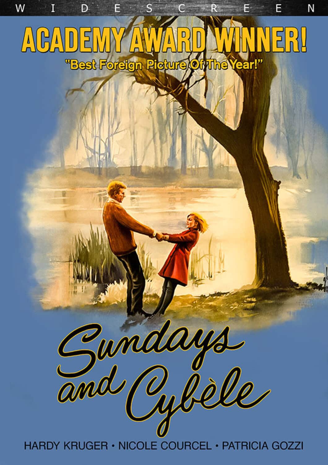 Sundays and Cybèle  - DVD