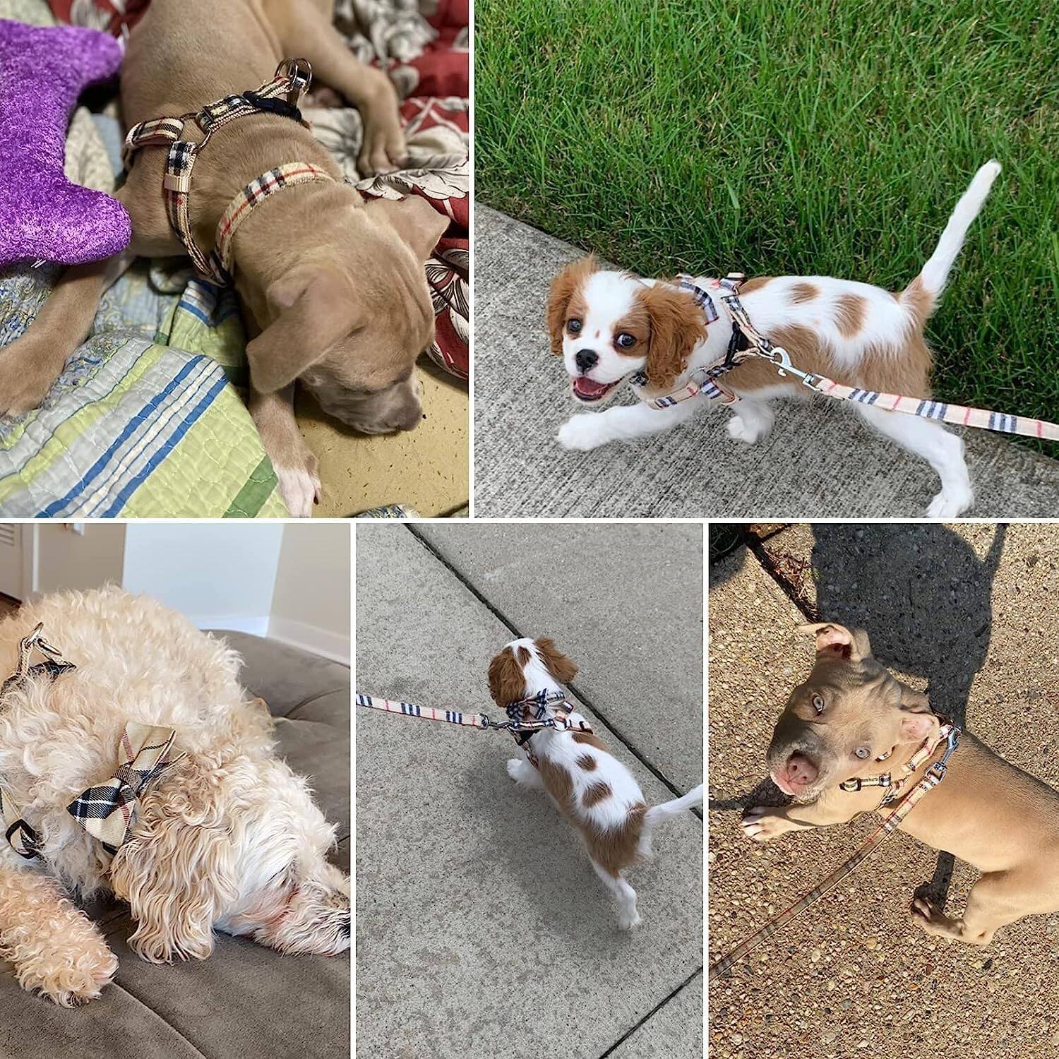 Alt View 3. Paradigms Interiors - Dog Harness With Leash And Bow Tie Collar Set - Beige Plaid Puppy Escape Proof No Pull Vest For Outdoor - Purple-S(Chest Girth:14.9''-20.9'').