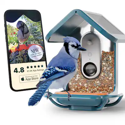 Bird Buddy Smart Bird Feeder w/ Solar Roof (Pro Camera Version w