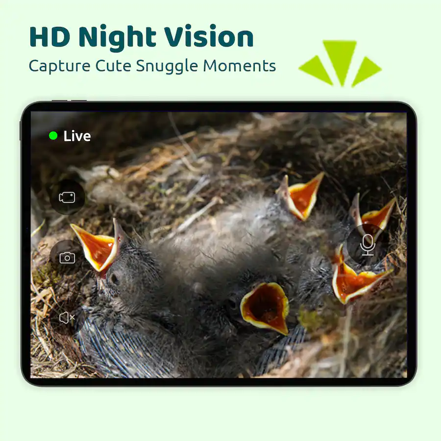 BIRDFY Smart Bird House, Solar Powered, 1080P HD Live View Bird