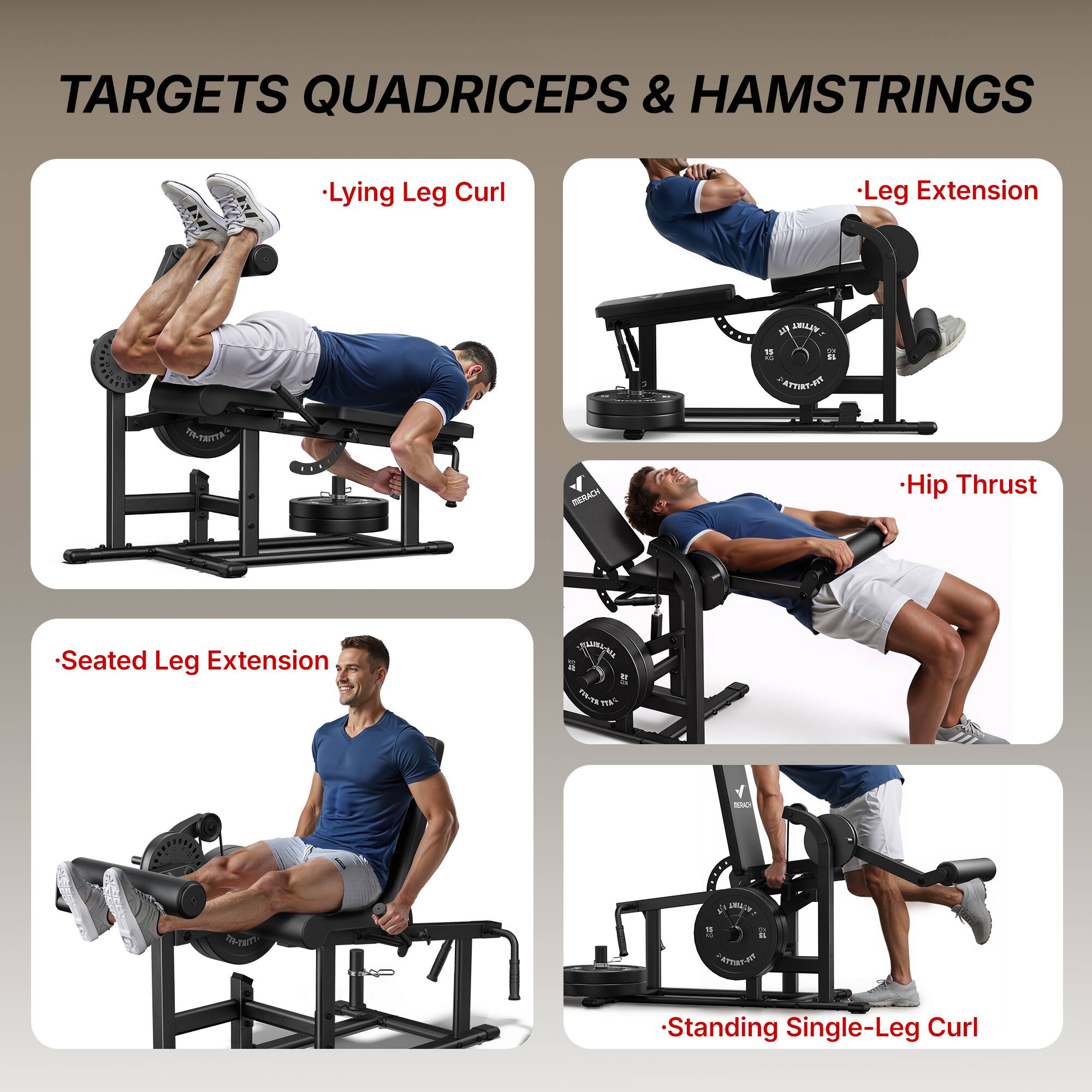 TARGETS QUADRICEPS & HAMSTRINGS

- Lying Leg Curl
- Leg Extension
- Hip Thrust
- Seated Leg Extension
- Standing Single-Leg Curl