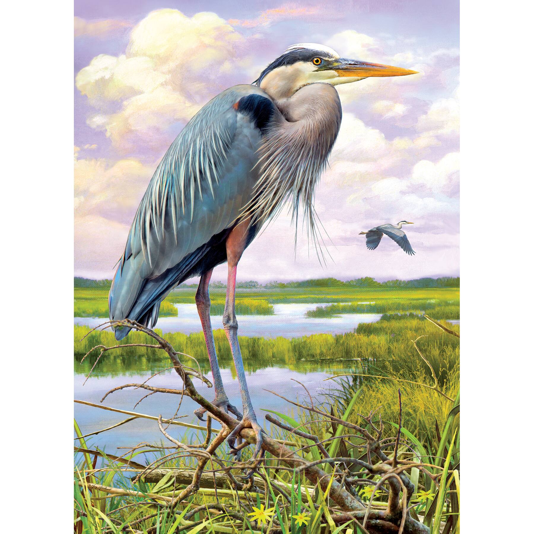 Angle. Outset Media - Outset Media: Cobble Hill 1000 Piece Puzzle: Heron - Reference Poster Included.