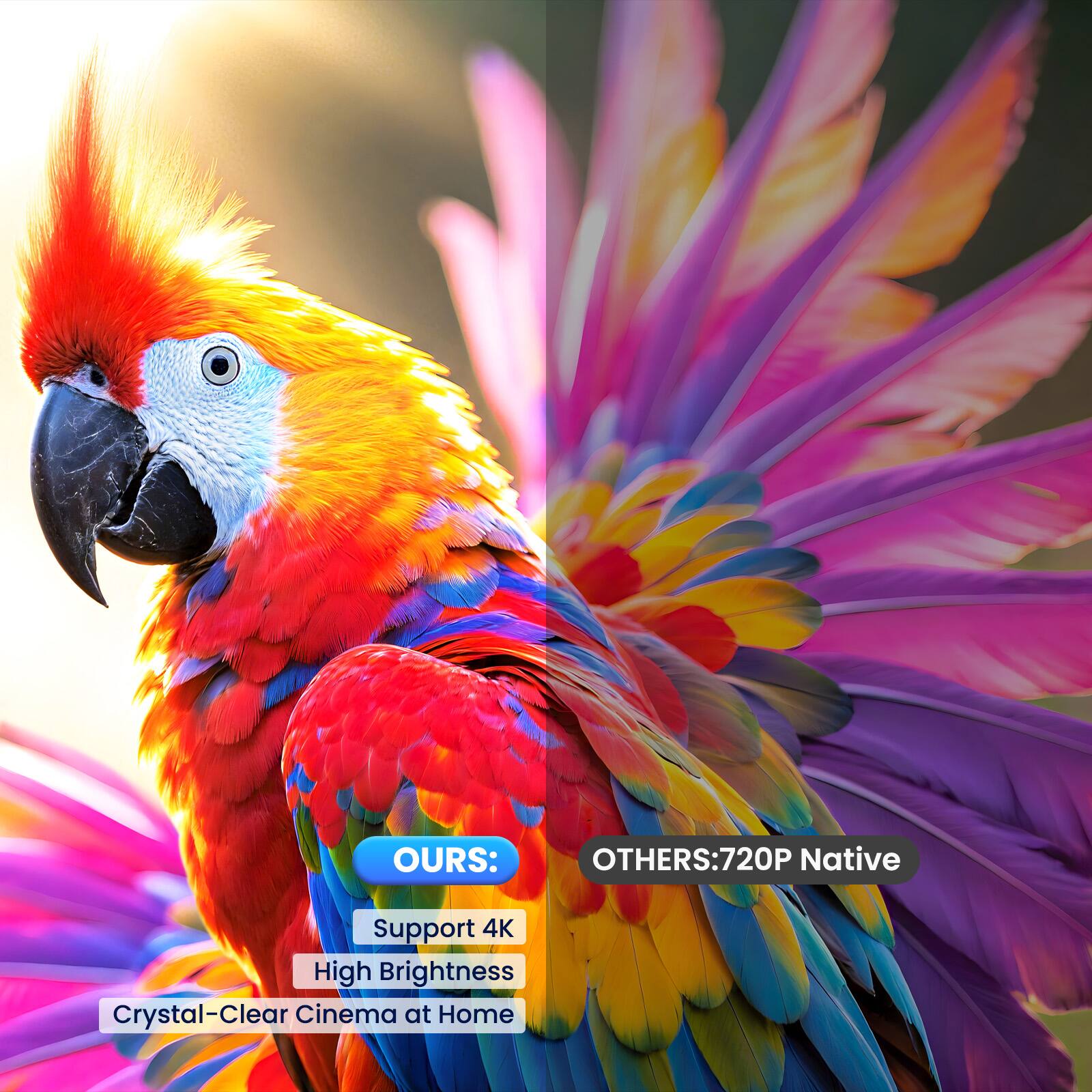 OURS:  
Support 4K  
High Brightness  
Crystal-Clear Cinema at Home  

OTHERS: 720P Native