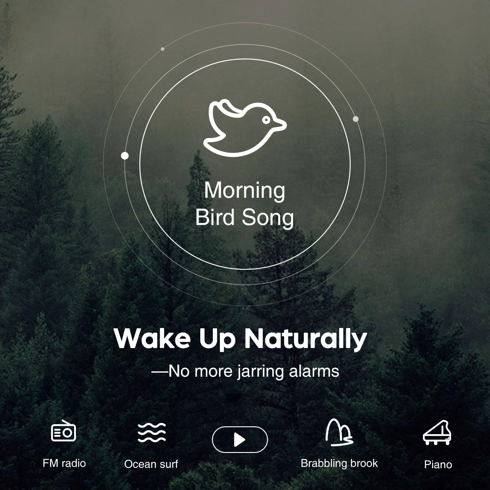 Morning Bird Song  
Wake Up Naturally  
— No more jarring alarms  

FM radio  
Ocean surf  
Brabbling brook  
Piano