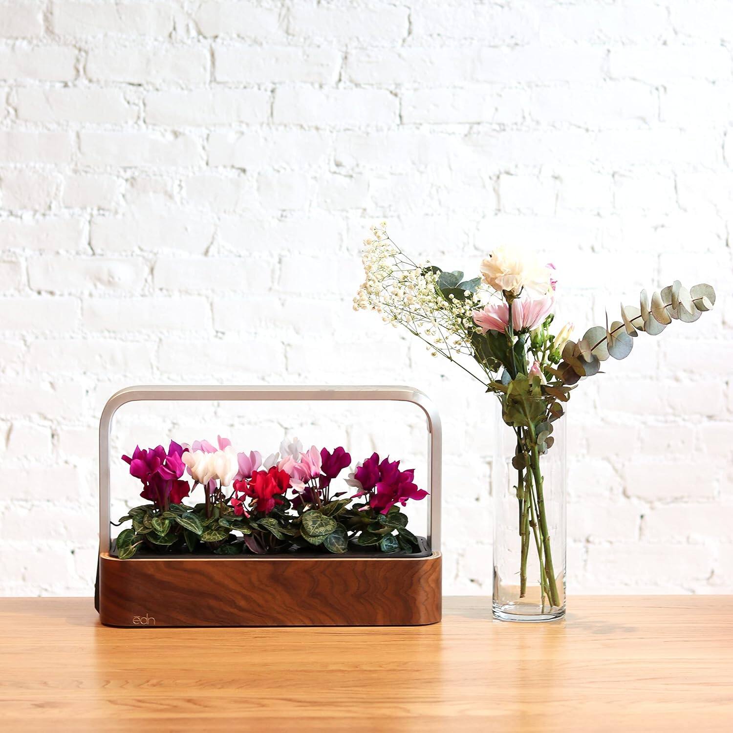 Alt View 2. EDN - Smart Garden for Herbs and Plants - Brown.