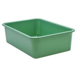 Teacher Created Resources - Eucalyptus Green Large Plastic Storage Bin