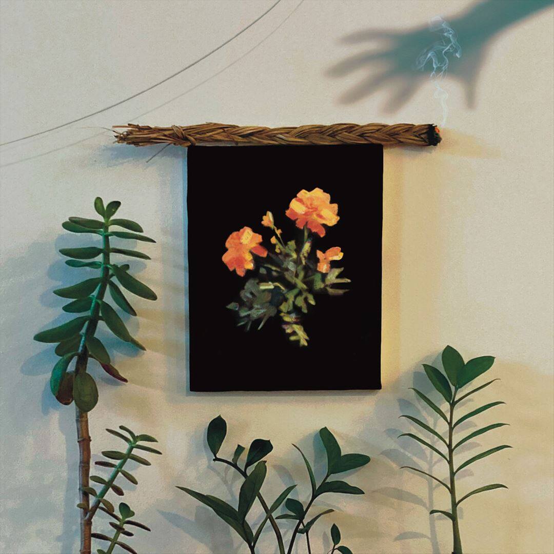 Front. The Well I Fell Into [LP].