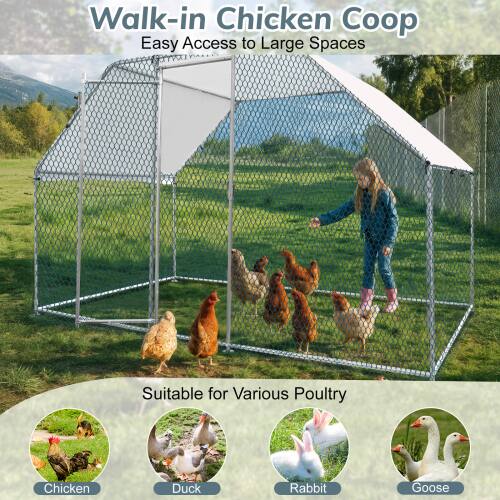 Walk-in Chicken Coop  
Easy Access to Large Spaces  

Suitable for Various Poultry  
- Chicken  
- Duck  
- Rabbit  
- Goose