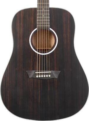 Alt View 3. Washburn - Washburn DFED Deep Forest Dreadnought Acoustic Guitar, Striped Ebony - Striped Ebony.