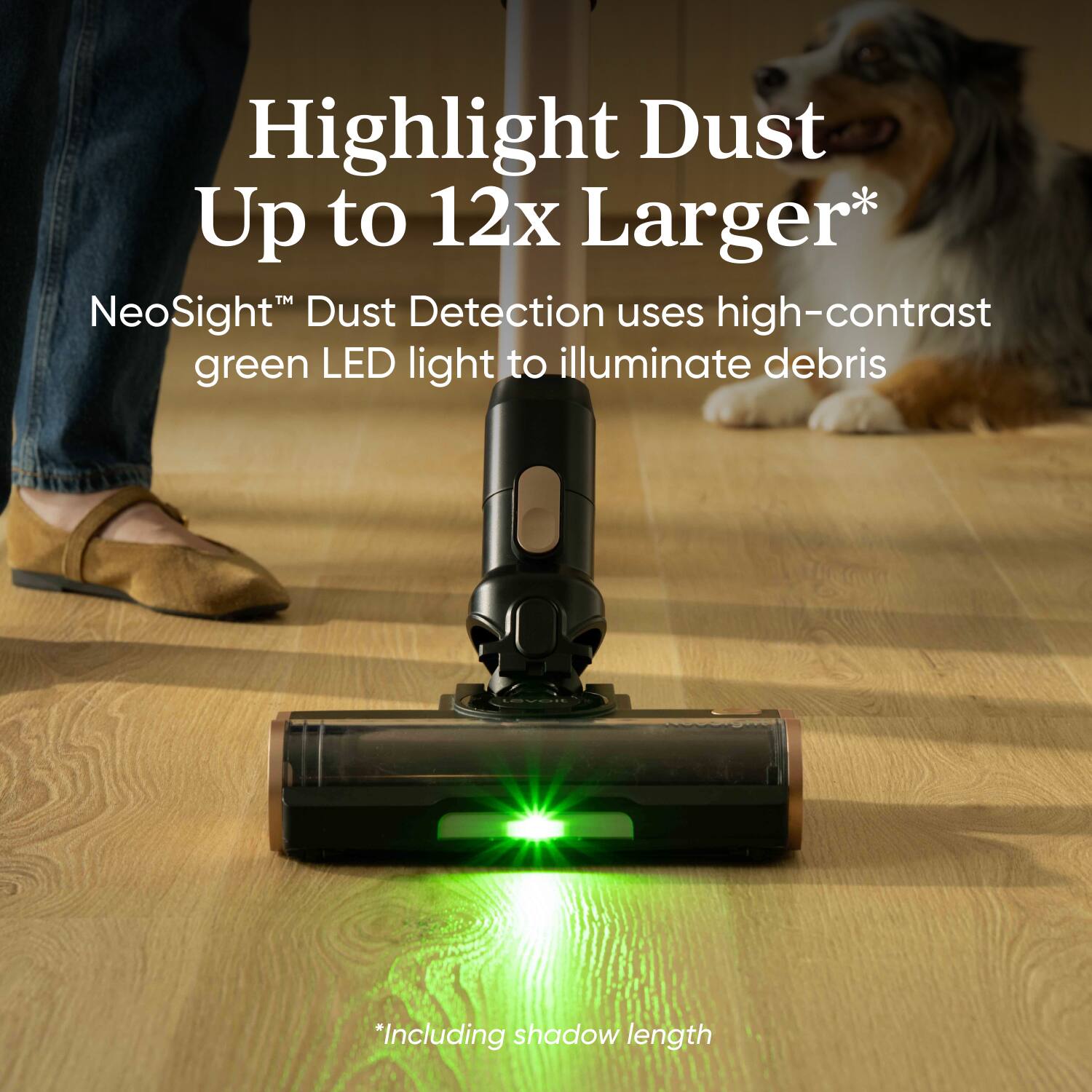 Highlight Dust Up to 12x Larger*

NeoSight™ Dust Detection uses high-contrast green LED light to illuminate debris

*Including shadow length