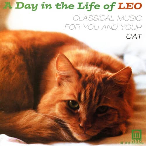 Day In The Life Of Leo: Classical For Cat / Var - Day in the Life of Leo: Classical for Cat / Various  - COMPACT DISCS
