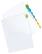 Projects
To Do
Notes
Calendar
Contacts
Schedule
Misc.