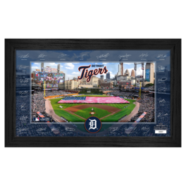 Highland Mint - Detroit Tigers Framed 12" x 20" 2025 Signature Field Photograph - Facsimile Signatures - Limited Edition of 5,000 - Multicolor