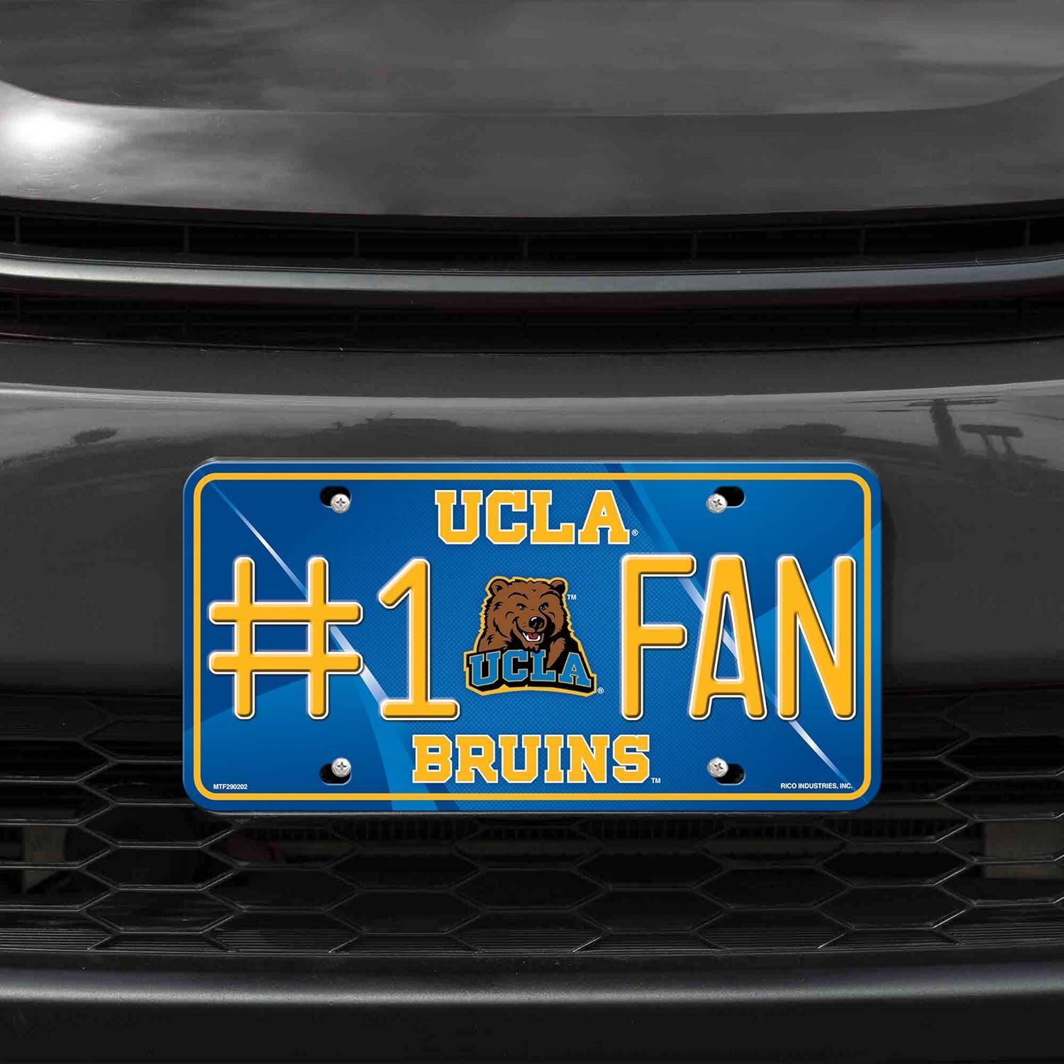 UCLA #1 FAN  
BRUINS