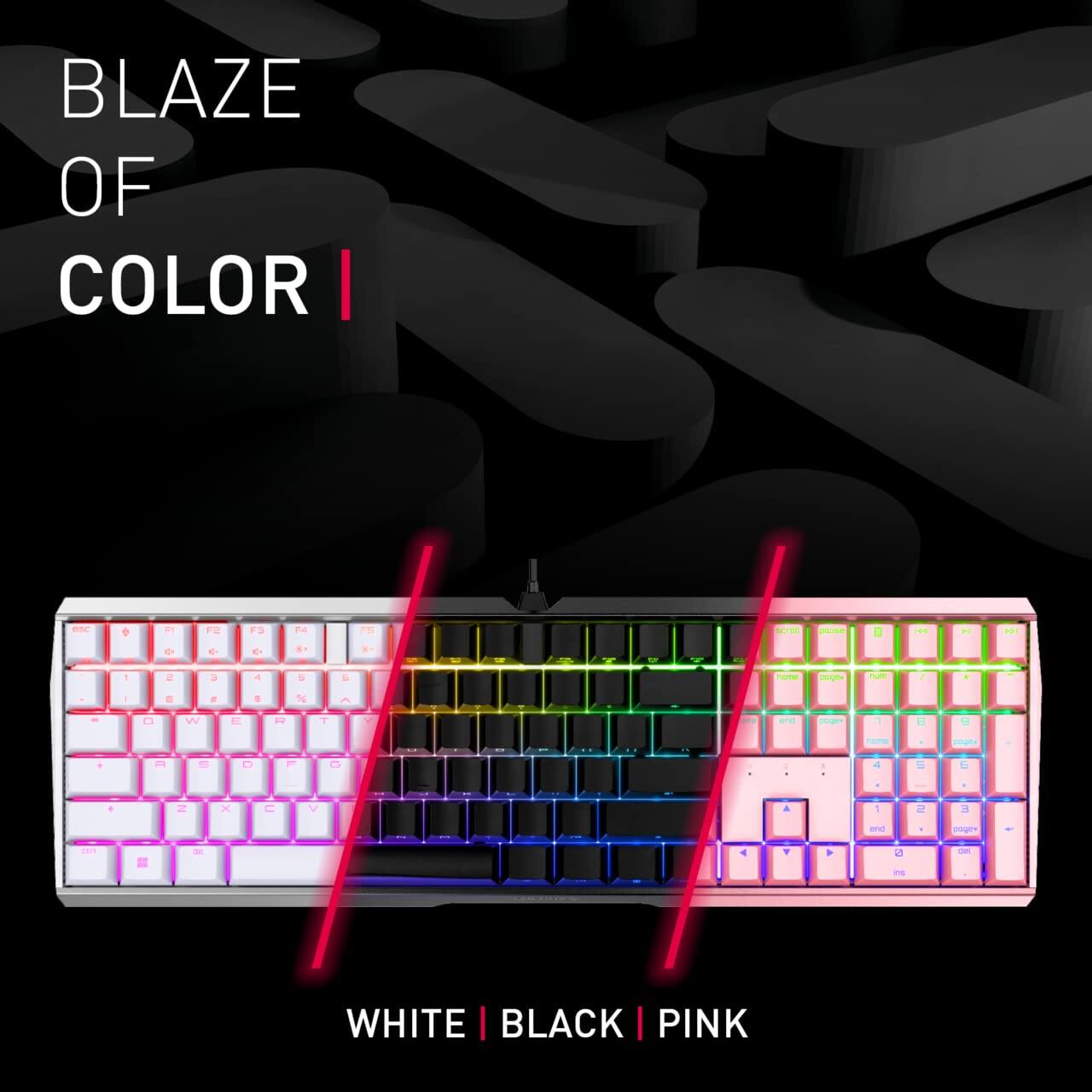 BLAZE OF COLOR

WHITE | BLACK | PINK