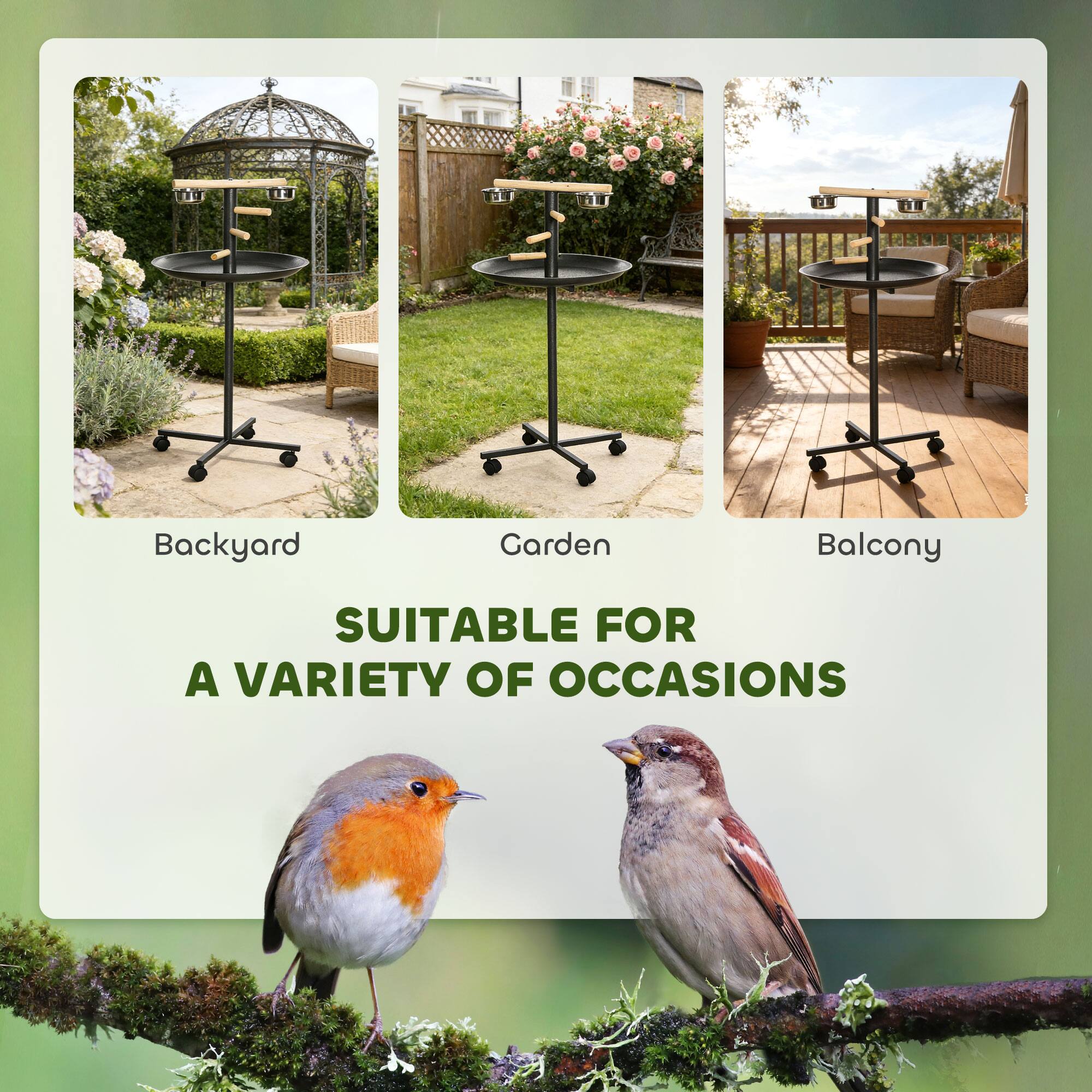 Backyard  
Garden  
Balcony  

SUITABLE FOR A VARIETY OF OCCASIONS