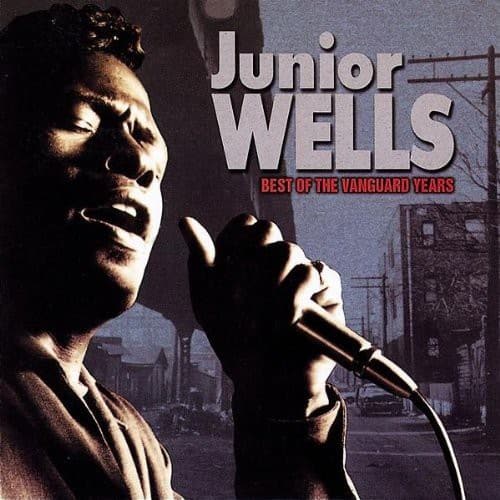 Junior Wells - Best of the Vanguard Years   - COMPACT DISCS [CD] price history on PriceWatchPro