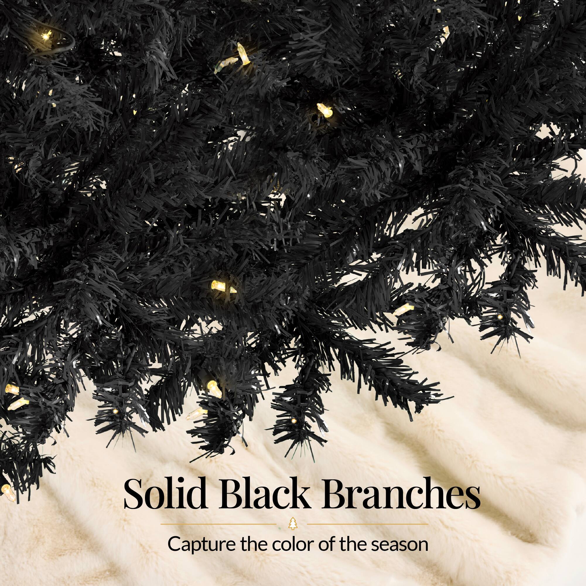 Solid Black Branches  
Capture the color of the season