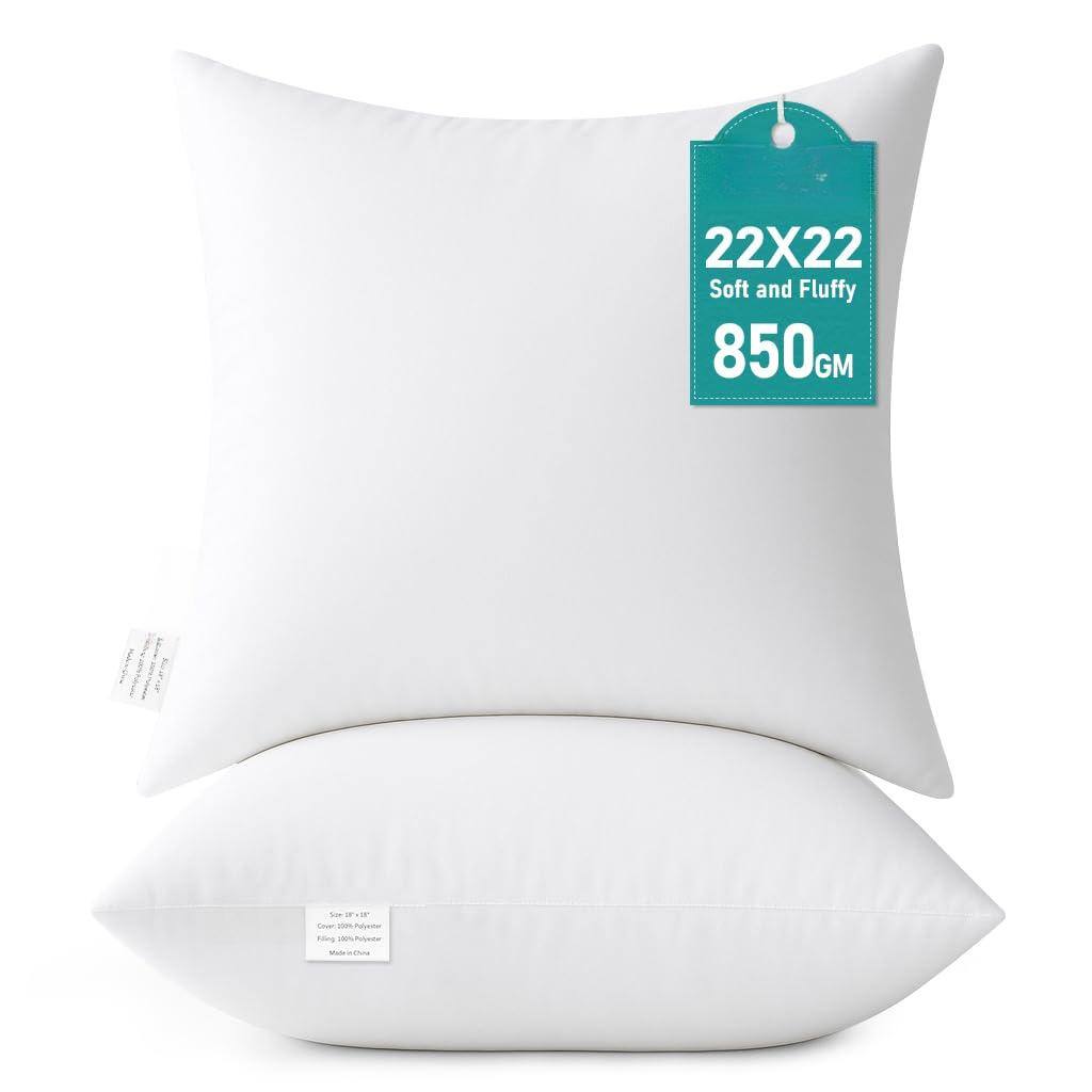 22x22 Inch (Pack of 2) 2