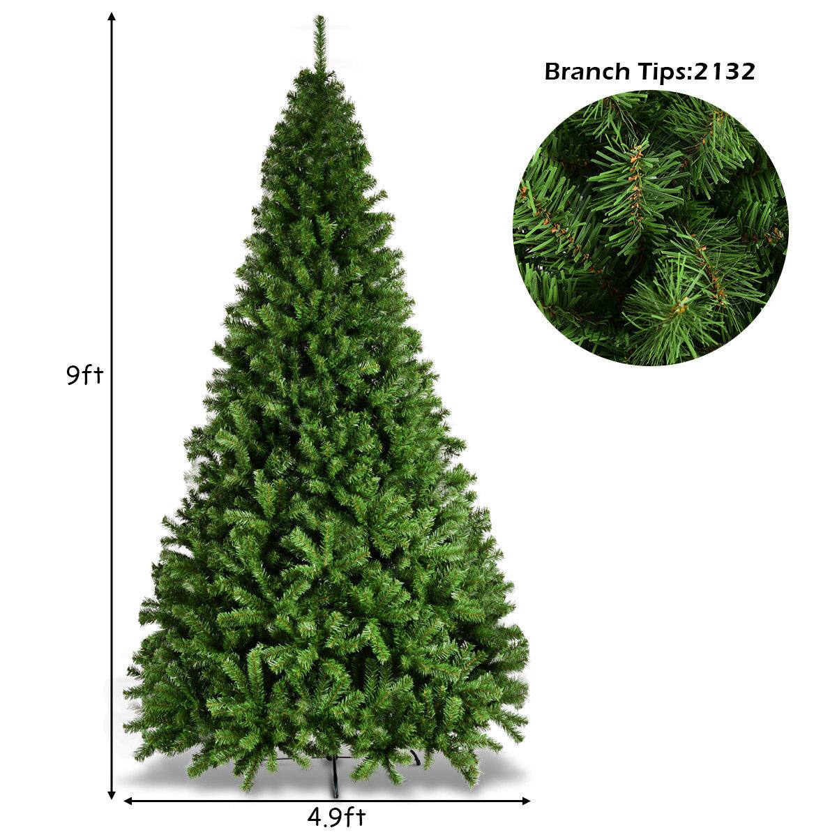 Branch Tips: 2132 9ft 4.9ft