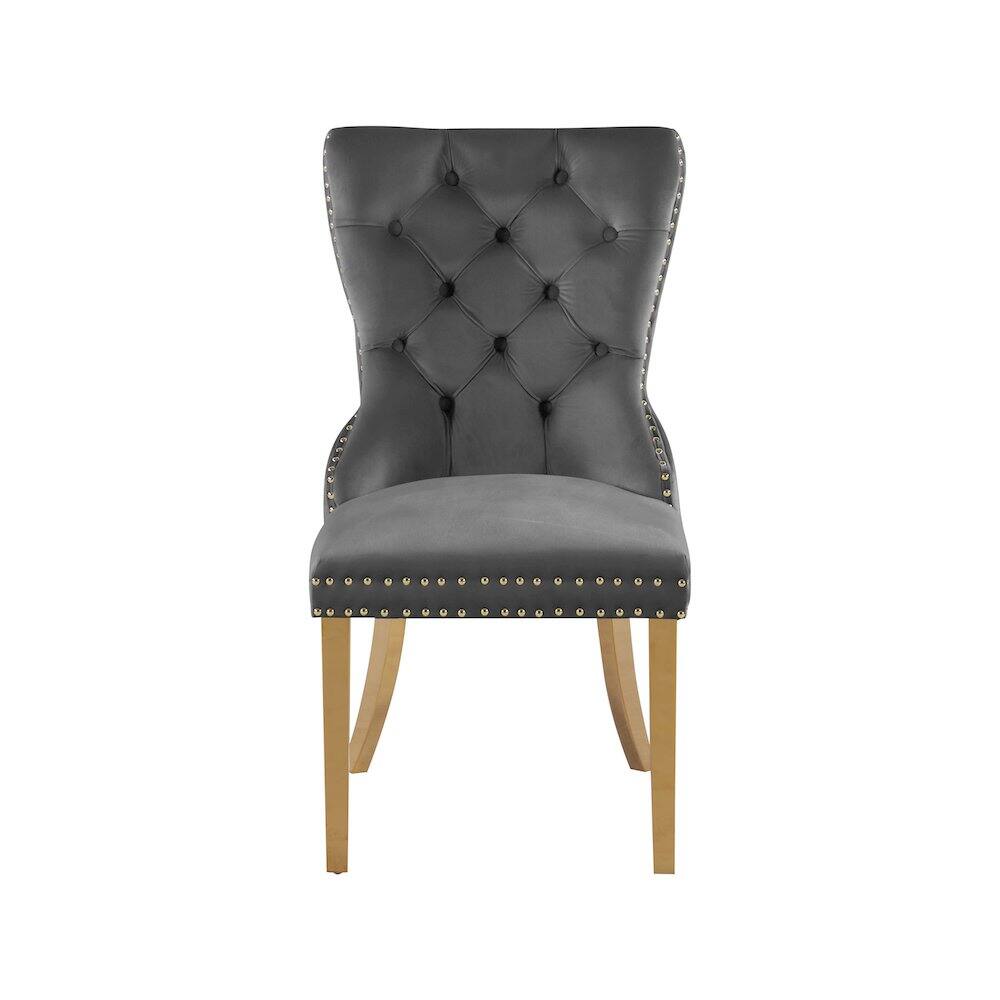 Alt View 1. Meridian Furniture - Carmen Grey Velvet Dining Chairs, Set of 2 - Grey.