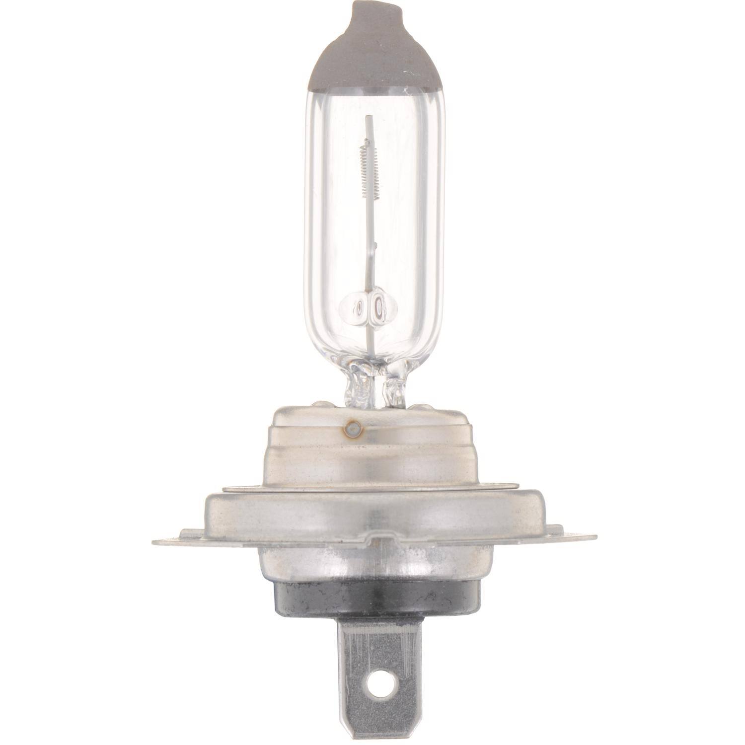 Left. Philips - Philips Standard Halogen High/Low Beam Automotive Bulb H7B1.