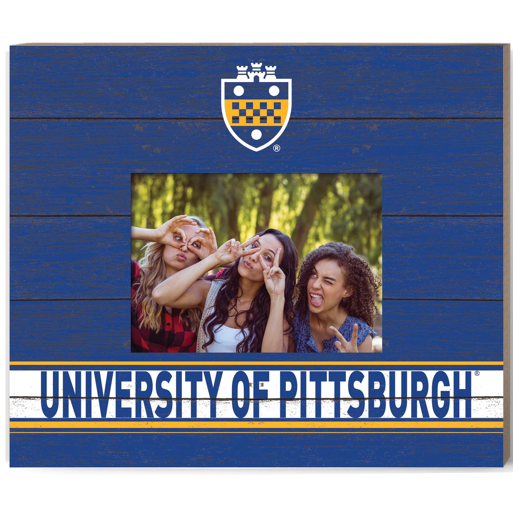 Jardine - Pitt Panthers 11'' x 13'' Team Spirit Picture Frame - Blue price history on PriceWatchPro