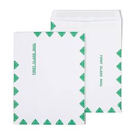 Staples - First Class Self Seal #13 Envelope, 10" x 13", 100/Box - White with green diamond border