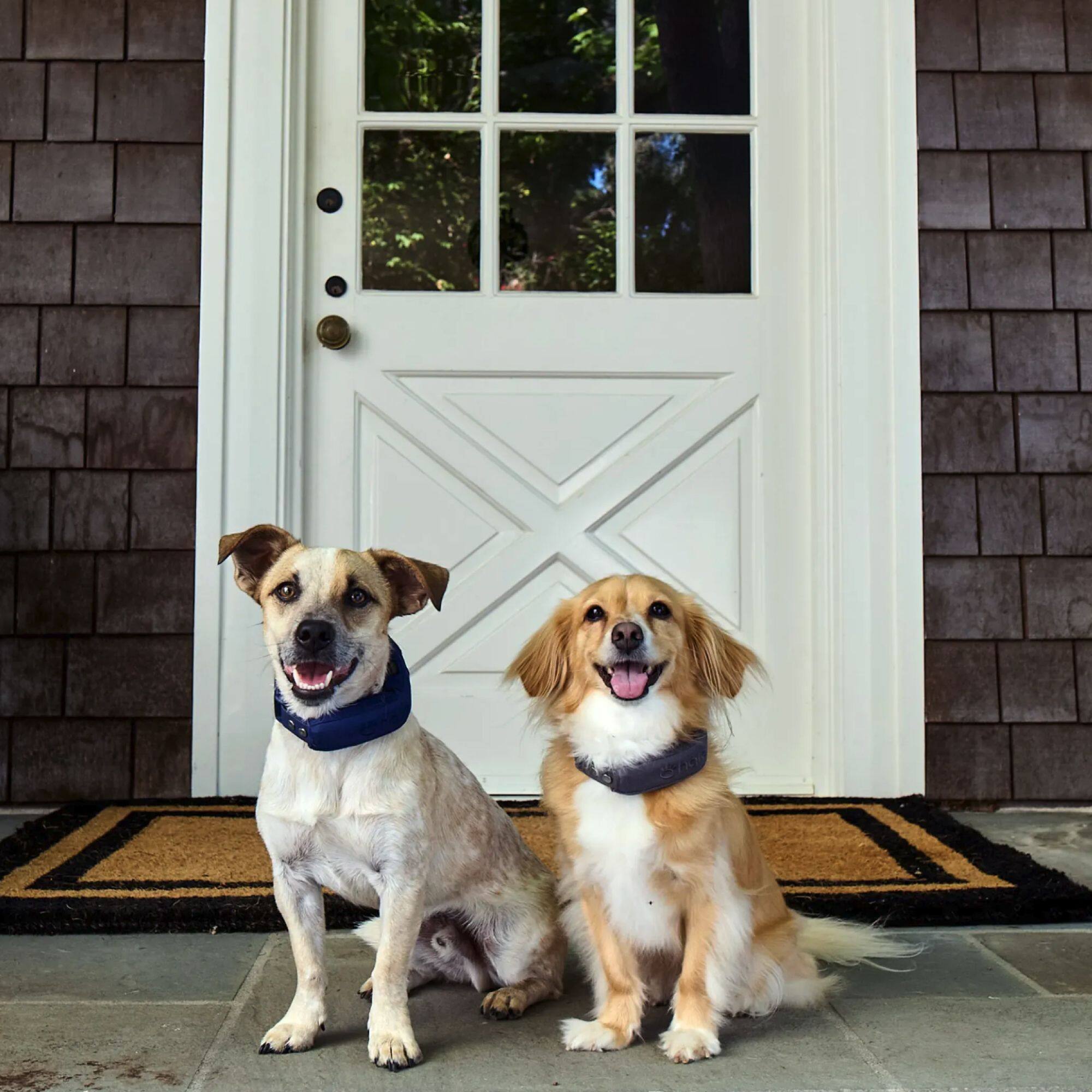 Alt View 6. HALO - Halo Collar 5, New Wireless Dog Fence & GPS Dog Collar, Subscription Required, Waterproof, One Size (5 colors) - Graphite.