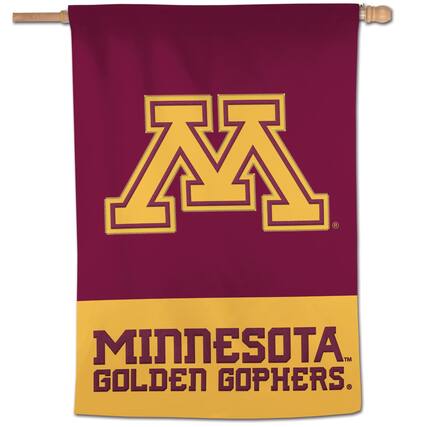 M
MINNESOTA
GOLDEN GOPHERS