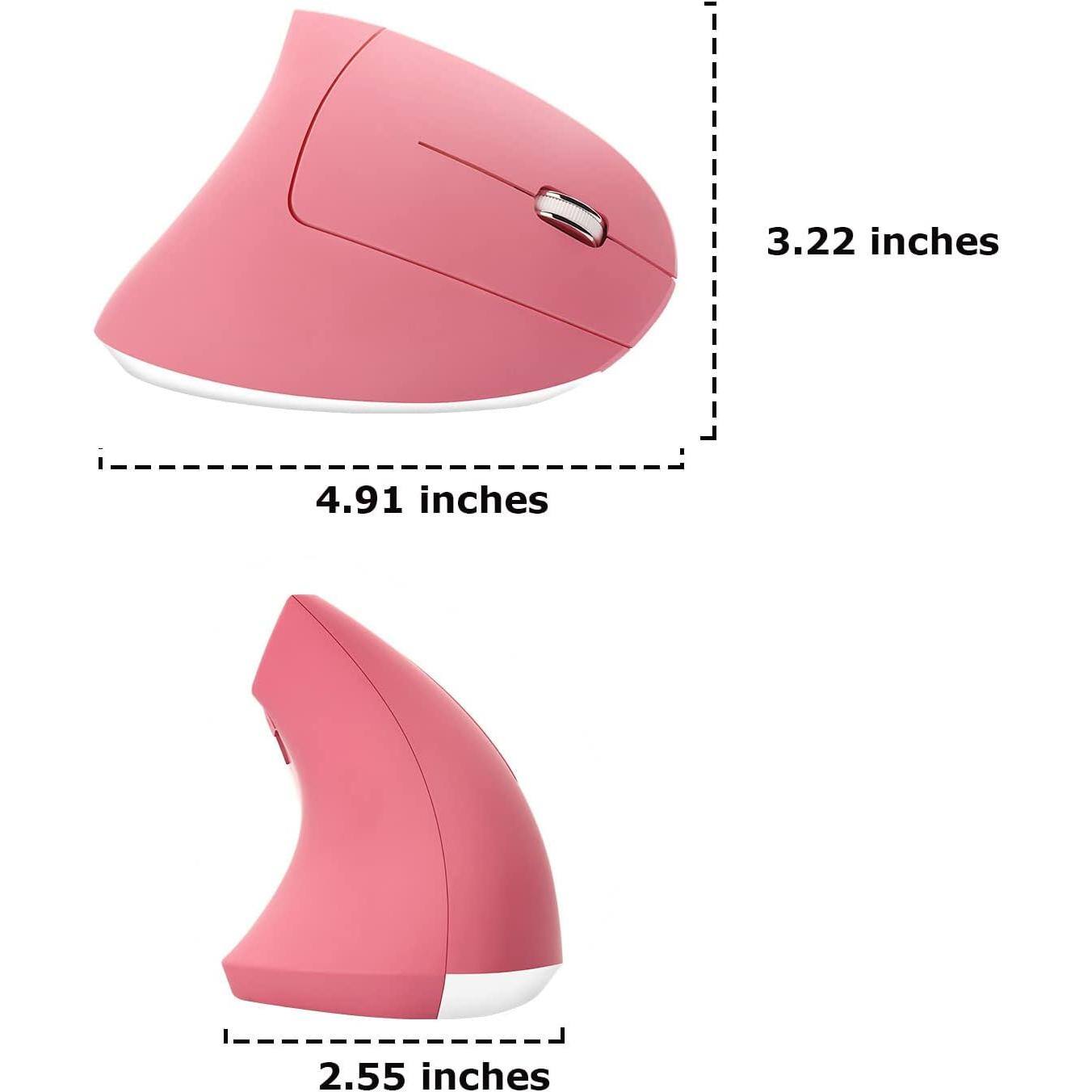 3.22 inches  
4.91 inches  
2.55 inches