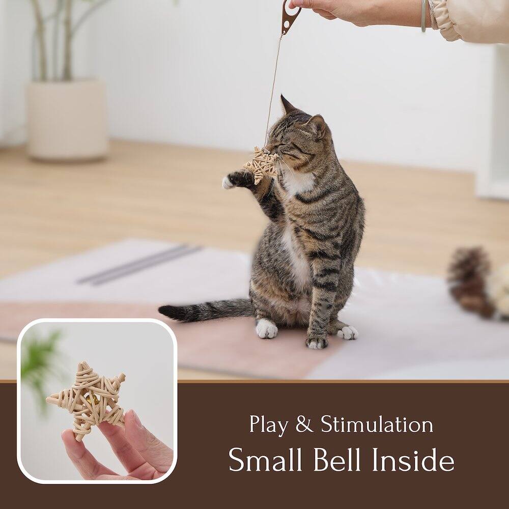 Play & Stimulation  
Small Bell Inside