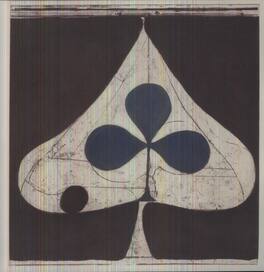 Grizzly Bear - Shields - VINYL LP