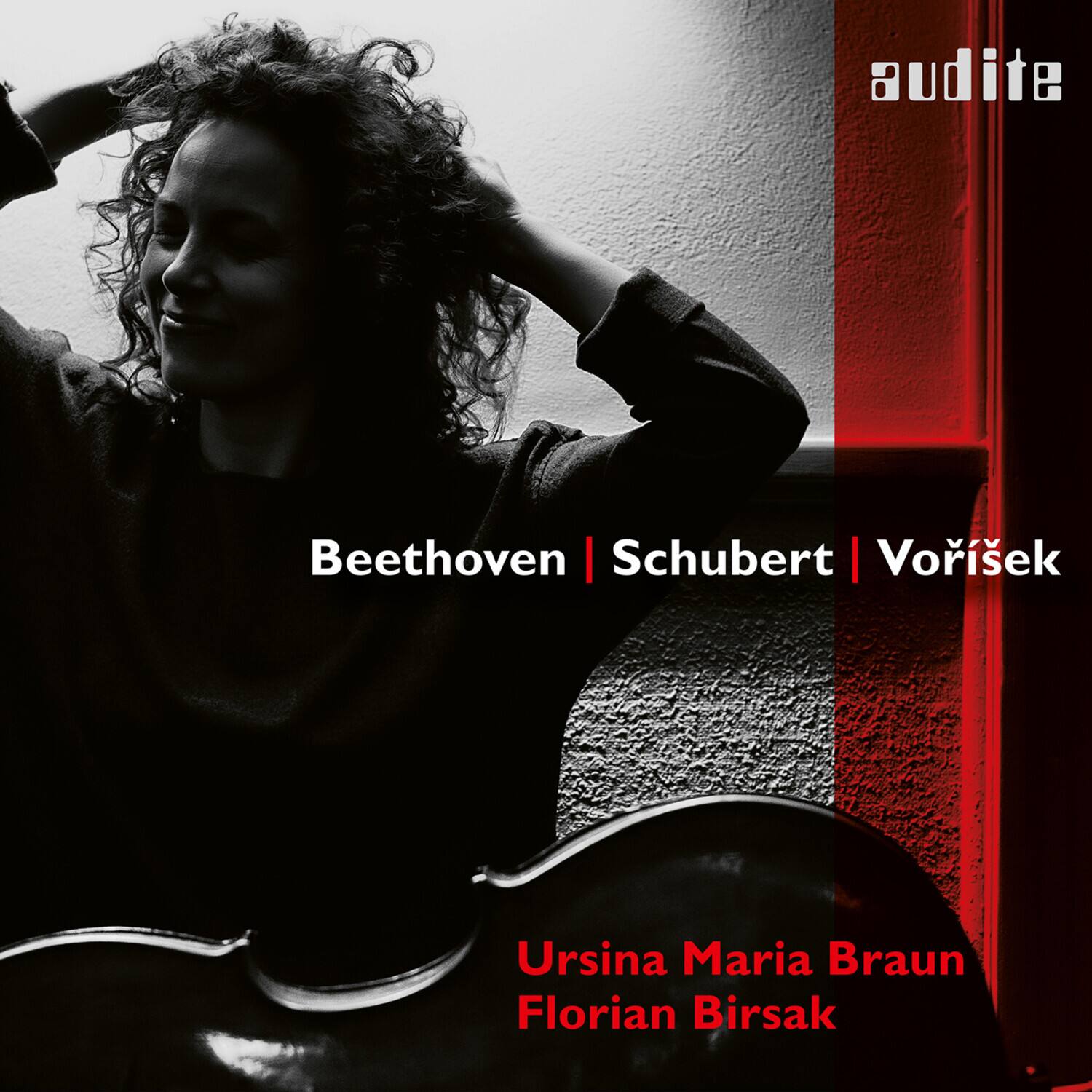 Beethoven | Schubert | Vorísek

Ursina Maria Braun  
Florian Birsak

audite